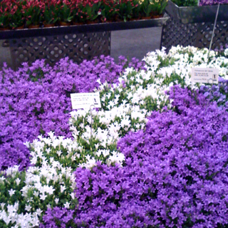 image1163957509.jpg